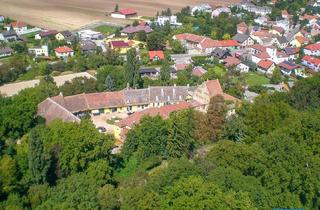 Gewerbeimmobilie mieten in 2326 Lanzendorf, Exklusives Paddockboxen-Abteil (14 Boxen) in renommiertem Dressurstall südlich von Wien