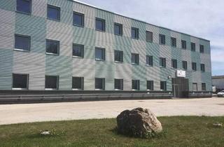 Büro zu mieten in 2331 Vösendorf, Büro- und Lagerflächen in Vösendorf - MIETE!