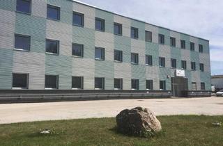 Immobilie mieten in 2331 Vösendorf, Top Lager - & Bürokombination zu mieten