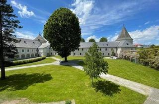Hotel mieten in Schloß, 3631 Ottenschlag, Traumhaftes Schloss in Ottenschlag zur Pacht/ Miete - Top Zustand! 5,90 € pro m2