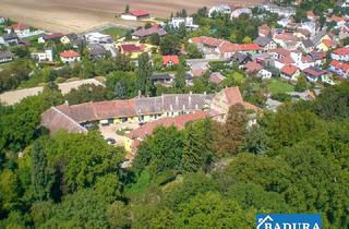 Agrarfläche mieten in 2326 Maria-Lanzendorf, Exklusives Paddockboxen-Abteil (14 Boxen) in renommiertem Dressurstall südlich von Wien