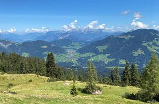 Gewerbeimmobilie kaufen in 6311 Oberau, Tourismusobjekte gesucht!