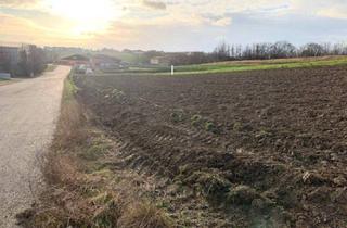 Gewerbeimmobilie kaufen in 2191 Gaweinstal, 4.333m² Betriebsgrundstück in Top – Lage an der A5 - 2191 Gaweinstal