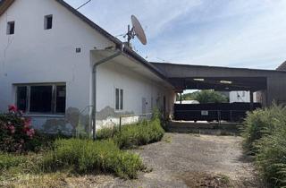 Einfamilienhaus kaufen in 7423 Pinkafeld, Stark sanierungsbedürftiges Einfamilienhaus in Pinkafeld