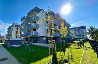 Wohnung mieten in Podhagskygasse 12/49, 1220 Wien, 1 Monat Mietzinsfrei: Erstbezug im Grünen Nahe der U2 - zwischen Badeteich Hirschstetten & Seestadt