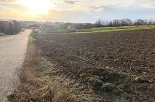 Immobilie kaufen in 2191 Gaweinstal, 4.333m² Betriebsgrundstück in Top – Lage an der A5 - 2191 Gaweinstal