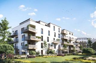 Wohnung kaufen in 2700 Wiener Neustadt, Kollonitschgasse