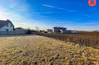 Grundstück zu kaufen in Am Hochland 14, 4073 Wilhering, Wilhering - Hitzing"Grundstück ca. 520 m² in Top Lage!"