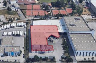 Lager mieten in Industriestraße 7, 2353 Guntramsdorf, Betriebsobjekt zur Miete in der Industriestraße, 2353 Guntramsdorf