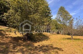 Grundstück zu kaufen in 8072 Fernitz, Baugrundstück in Bestlage – Top-Preis in Fernitz-Mellach!