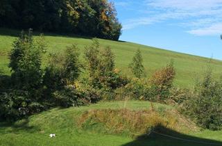 Grundstück zu kaufen in 5310 Tiefgraben, Baugrund Mondseeberg - Ruhelage - Panoramasicht