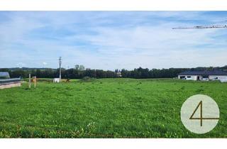 Grundstück zu kaufen in 4770 Andorf, Ihr Familien-Traumgrundstück in Erlau NÄHE Andorf, Schärding