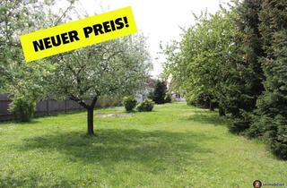 Bauernhäuser zu kaufen in 7540 Moschendorf, Nähe Güssing: Traditionelles Bauernhaus mit großem Garten