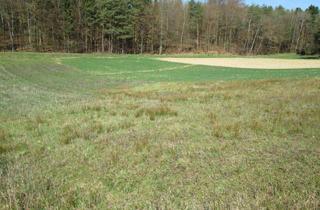 Grundstück zu kaufen in 8380 Jennersdorf, Jennersdorf: Zentrumsnaher Bauplatz in sonniger Ruhelage
