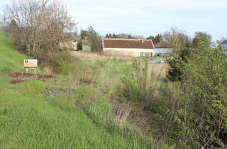Grundstück zu kaufen in 7464 Markt Neuhodis, Nähe Rechnitz: Aufgeschlossenes Baugrundstück in Ortslage!