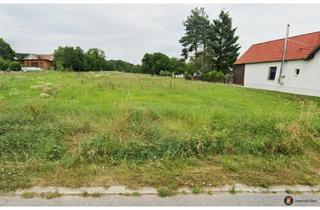 Grundstück zu kaufen in 7453 Steinberg, Nähe Oberpullendorf: Großes Baugrundstück ohne Bauzwang!