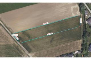 Grundstück zu kaufen in 7472 Schandorf, Großer Baugrund in Schandorf