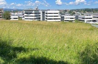 Grundstück zu kaufen in 7400 Oberwart, Oberwart: Baugrund in erhöhter Waldrandlage!