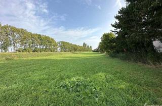 Grundstück zu kaufen in 3433 Königstetten, Grundstück für Bauträger in Königstetten