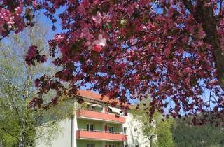 Wohnung kaufen in 2763 Pernitz, Schöne 2 Zimmerwohnung mit traumhaften Ausblick und großer Loggia