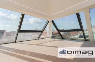 Penthouse kaufen in 1010 Wien, Feel on top of the World-Der Himmel kennt keine Grenzen