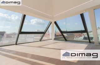 Penthouse kaufen in 1010 Wien, Feel on top of the World-Der Himmel kennt keine Grenzen
