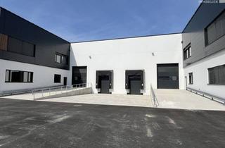 Lager mieten in 1230 Wien, CITY PARK VIENNA - Multifunktionales Gewerbeobjekt