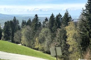 Grundstück zu kaufen in 6858 Bildstein, Beste Aussichten!