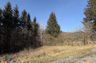 Grundstück zu kaufen in Lupinenweg, 8685 Steinhaus am Semmering, NEU! BAUGRUNDSTÜCK AM ENDE EINER SACKGASSE IN STEINHAUS AM SEMMERING!