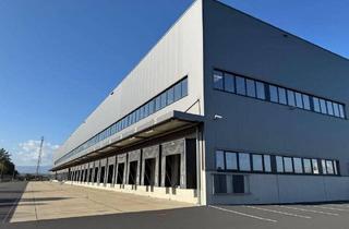 Büro zu mieten in Nordweg, 8141 Unterpremstätten, Log Center - Neuwertige Lager-, Produktions- und Büroflächen zur Miete, südlich von Graz