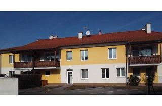Wohnung mieten in Ollersdorferstr. 2/5, 2251 Ebenthal, Geförderte Arztpraxis mit 4 PKW-Abstellplätzen | Top 2/5 | EG mit 7 Räumen.