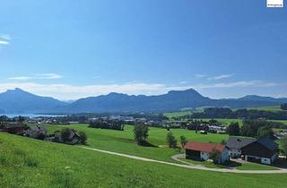 Grundstück zu kaufen in 5310 Mondsee, 1,7 Hektar Areal im Mondseeland zu verkaufen!