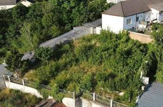 Grundstück zu kaufen in 7053 Hornstein, Grundstück mit Fernsicht inkl. Hausplan für ein 130 m2 Einzelhaus eine RARITÄT NOTVERKAUF