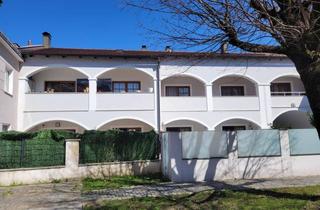 Wohnung kaufen in 4470 Enns, Charmante Altbauwohnung