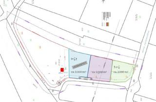  in Wien, Schwechat, Flughafen, 2333 Leopoldsdorf, Lagerfläche ab 2.000 m² zu mieten | Nähe Wien / S1