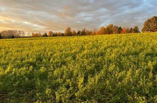 Haus kaufen in 4782 Sankt Florian am Inn, Charmantes Holzblockhaus (Wunsch-Haus) in wunderschöner Natur- und Aussichtslage in Bubing