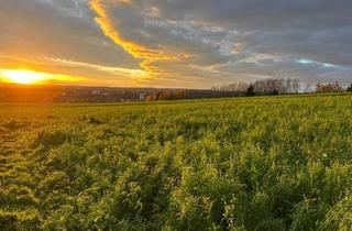 Haus kaufen in 4782 Sankt Florian am Inn, Charmantes Holzblockhaus (Wunsch-Haus) in wunderschöner Natur- und Aussichtslage in Bubing