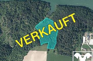 Gewerbeimmobilie kaufen in 9125 Kühnsdorf, Waldgrundstück an der Drau!