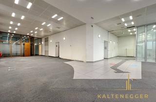 Büro zu mieten in Nussdorfer Platz, 1190 Wien, Attraktives Geschäftslokal in Bestlage am Nussdorfer Platz - unbefristet zur Vermietung