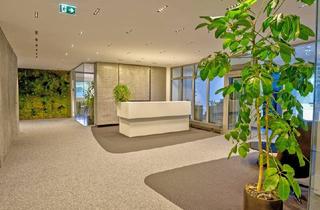 Büro zu mieten in 5431 Kuchl, Kuchl - 110 m² Bürofläche zu vermieten