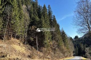 Gewerbeimmobilie kaufen in 9375 Hüttenberg, Waldgrundstück in der Marktgemeinde Hüttenberg