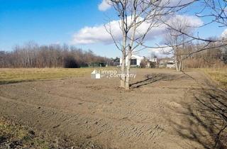 Grundstück zu kaufen in 2292 Loimersdorf, Traumhaftes Baugrundstück in Loimersdorf – 1079 m² für Ihre Zukunft!