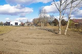 Grundstück zu kaufen in 2292 Engelhartstetten, Traumhaftes Baugrundstück in Loimersdorf – 1079 m² für Ihre Zukunft!