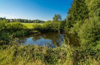 Grundstück zu kaufen in 3863 Reingers, *****Fischteiche im nördlichen Waldviertel*****