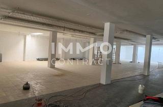 Büro zu mieten in Levasseurgasse, 1230 Wien, Branchenfrei und Unbefristet,ca. 470 m² Gewerbefläche und ca. 92 m² Büro mit teilw. Wohnwidmung!