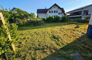 Wohnung mieten in Hauptstr, 6971 Hard, Renovierte 2 Zimmer Wohnung mit Garten