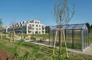 Wohnung kaufen in Lannesstraße, 1220 Wien, gut geschnittene 2 Zimmer Wohnung mit Balkon und KÜCHE im Gartenhaus 22__T11_PROVISIONSFREI!