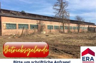  in 2181 Dobermannsdorf, Dobermannsdorf MIETE - Vielseitiges Betriebsgelände mit 3 Hallen