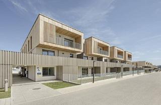 Wohnung mieten in Ybbser Straße, 3250 Wieselburg, WIESELBURG-STADT I/2, geförderte Mietwohnung mit Kaufoption, Stiege 2, Top 19, 1000/00011942/00001219