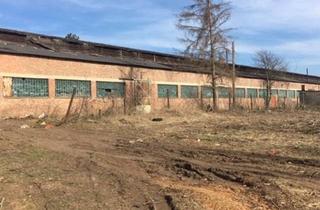  in 2181 Dobermannsdorf, Dobermannsdorf MIETE - Vielseitiges Betriebsgelände mit 3 Hallen